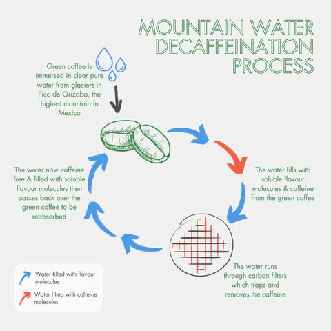 014 Brazil Mountain Water Process - Decaf